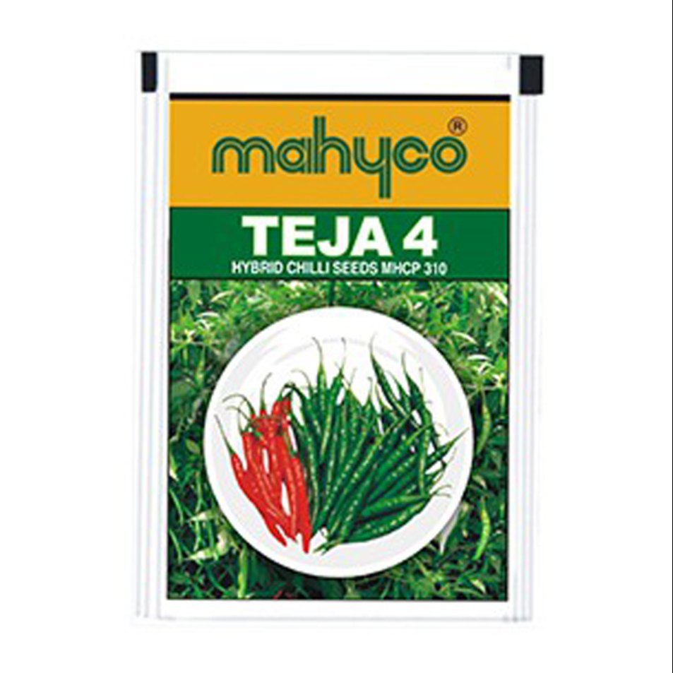 Mahyco Hybrid Chilli / Teja 4