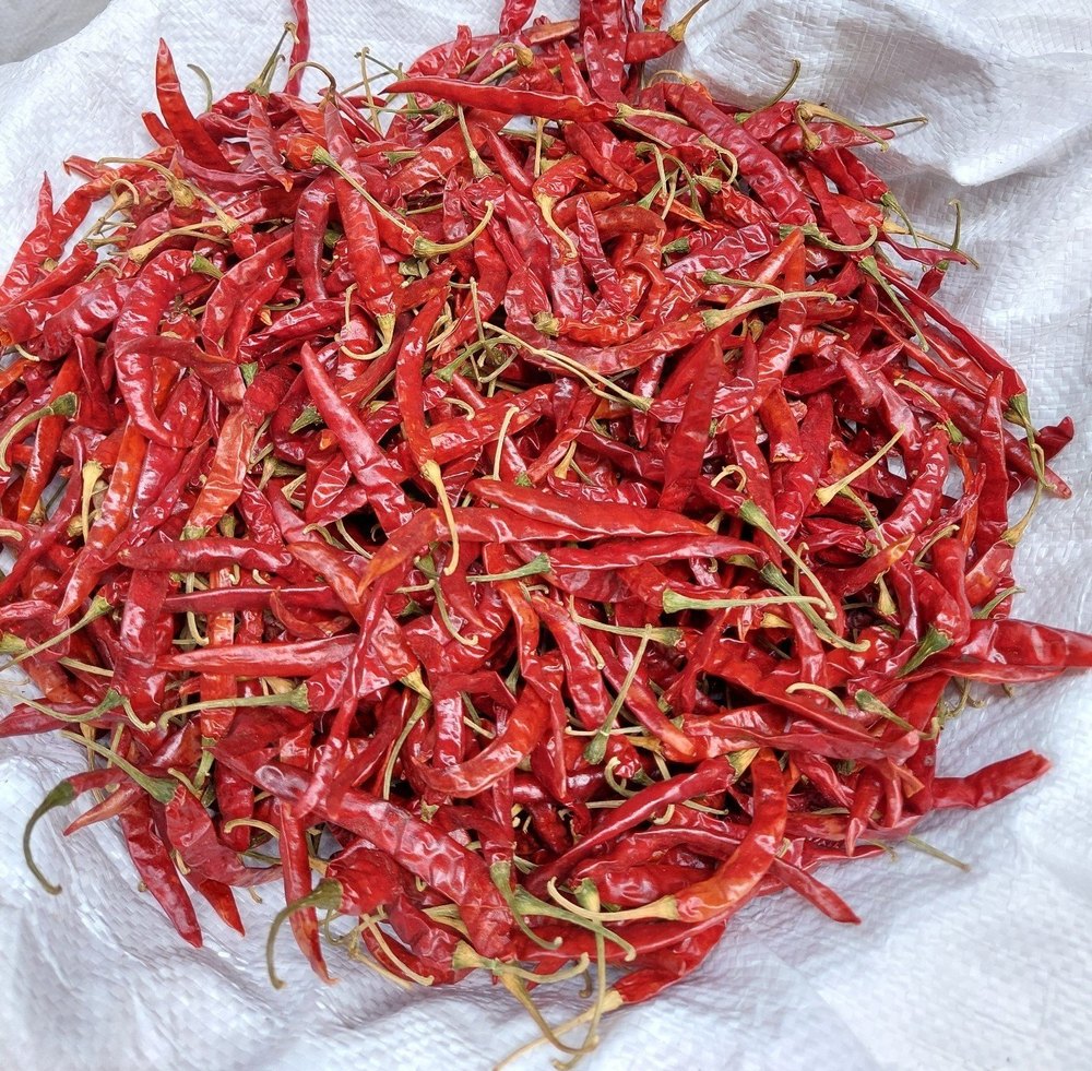Teja Dry Red Chilli