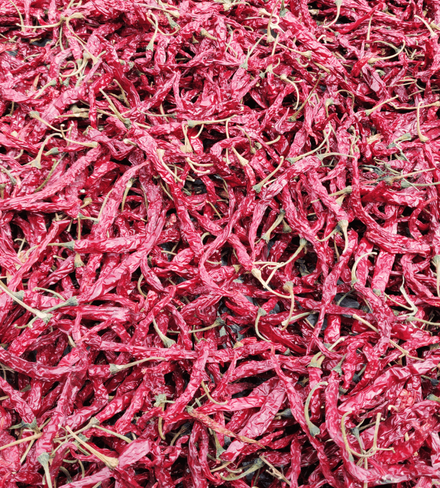 Teja Dry Red Chilli