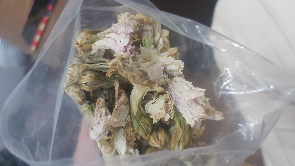PACKING WHITE BLUE Marshmallow Flowers