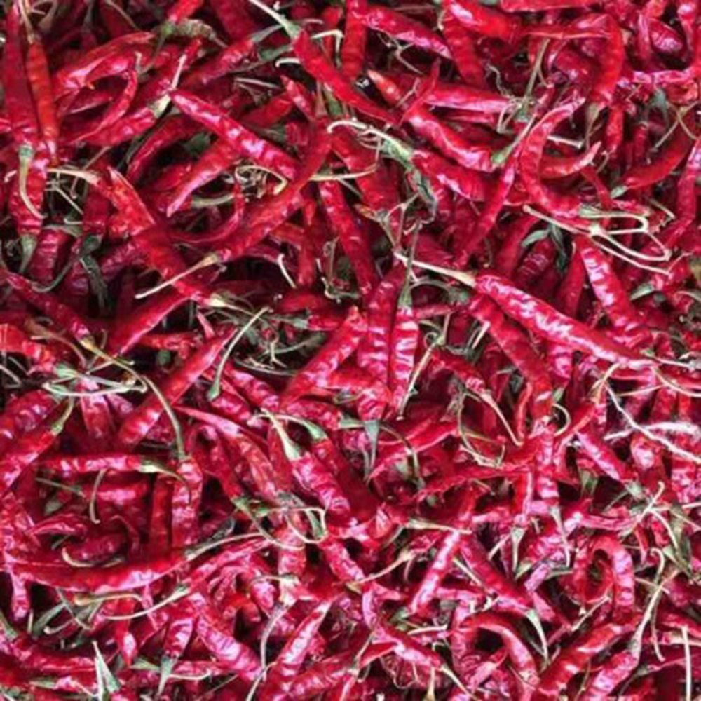 With Steam Teja Dry Red Chilli
