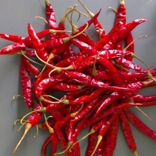 Nothing Teja S17 Dry Red Chilli