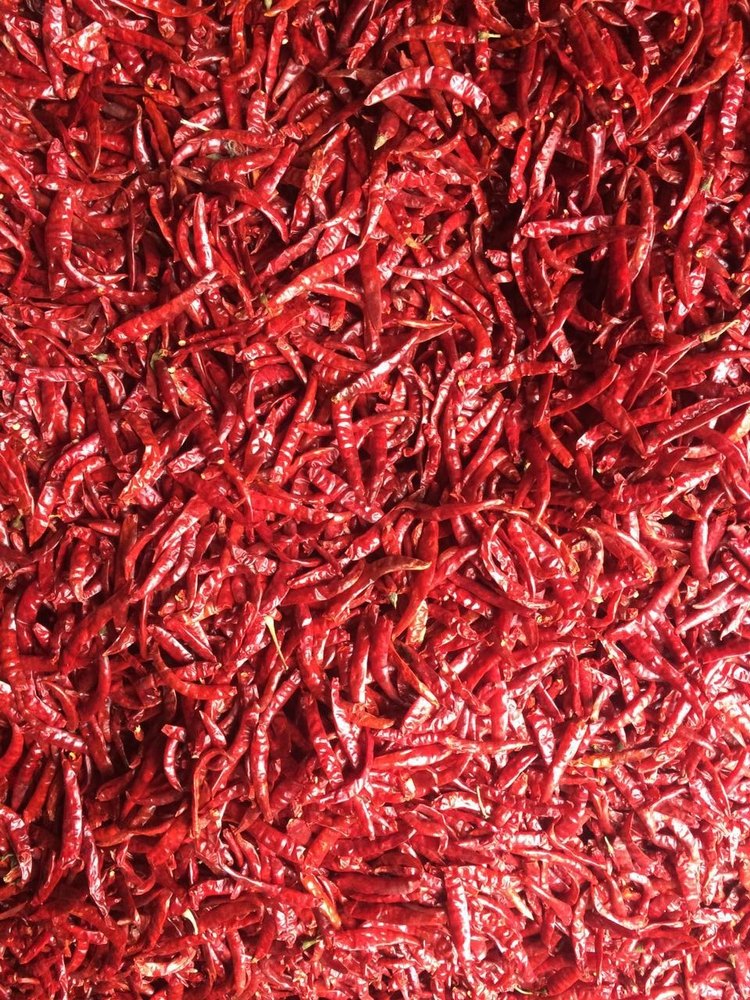 Guntur Dry Red Chilli