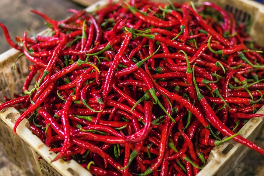 Guntur Dry Red Chilli