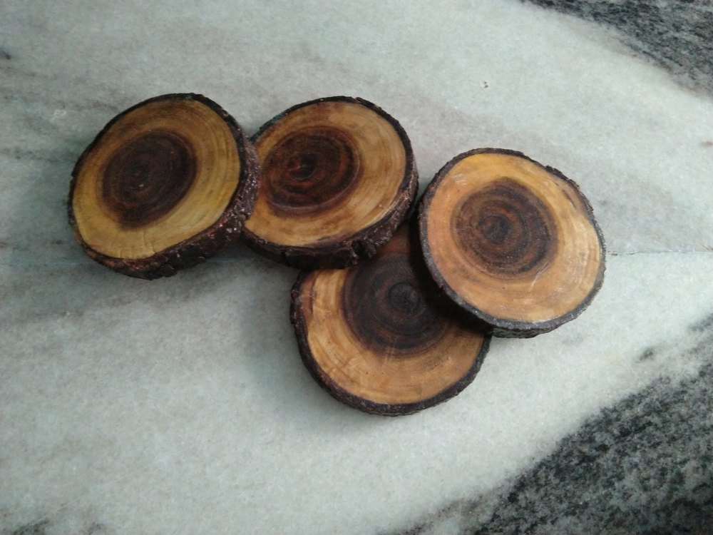 Natural Plain Wooden Bark, For Event