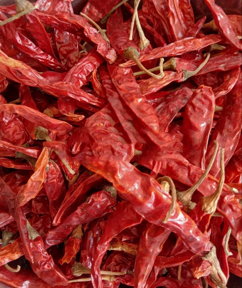Guntur Teja Dry Red Chilli