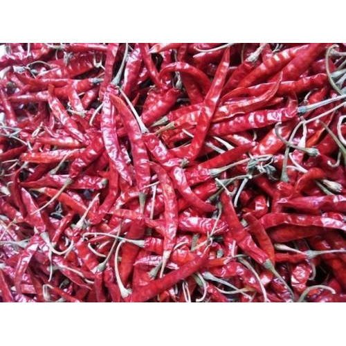 Guntur Dry Red Chilli