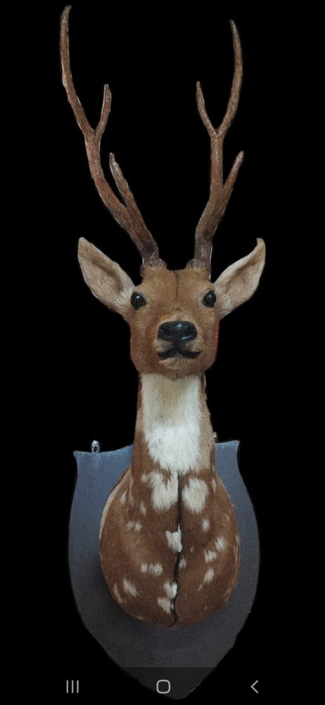 paper mache Handicraft Animal