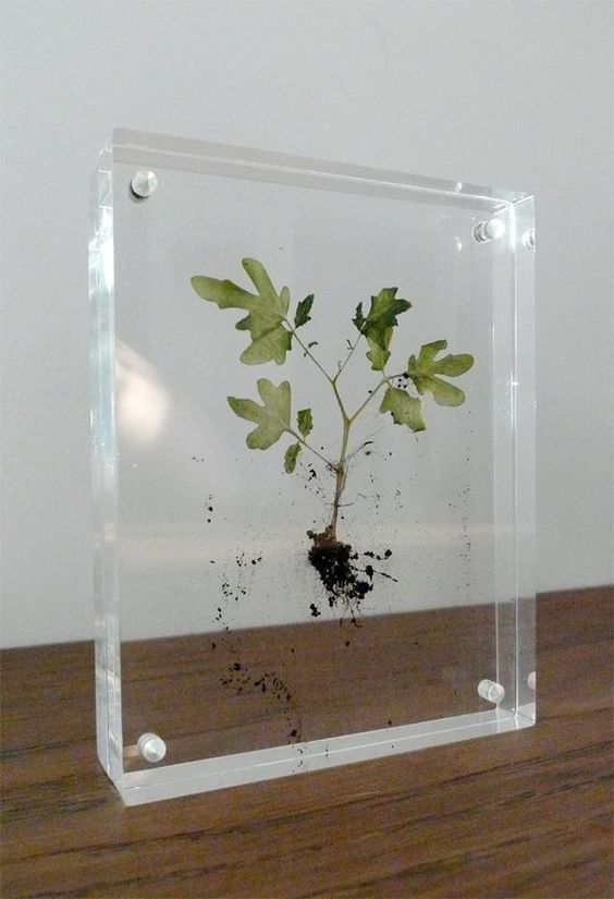 IWC Epoxy Based Show Piece, For User Defined, Packaging Type: Box