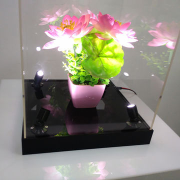 Transparent Acrylic Flower Showcase