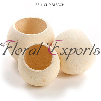 Bell Cup Bleach Loose