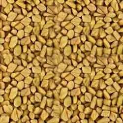 Fenugreek Seed