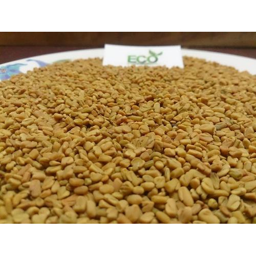Eco Export Fenugreek Seed