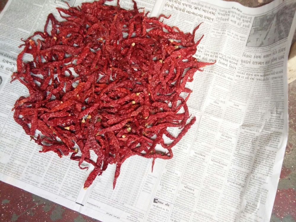 Byadgi Mirch Without Stem