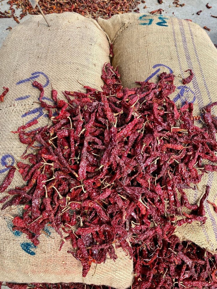 Without Stem Bydagi Byadgi Dry Red Chilli