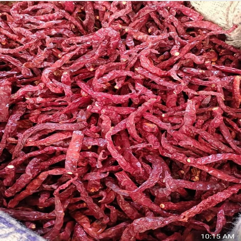 Guntur Dry Red Chilli