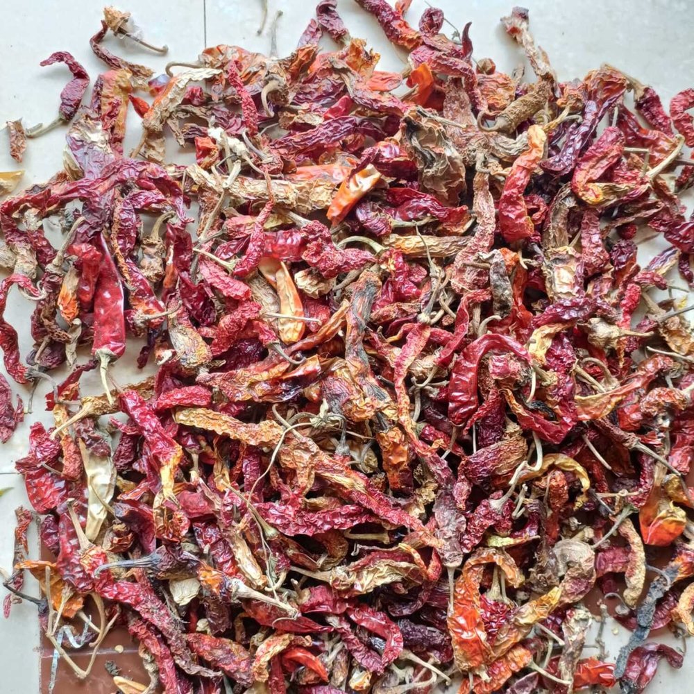 KDL Byadgi Fatki Red Chilli