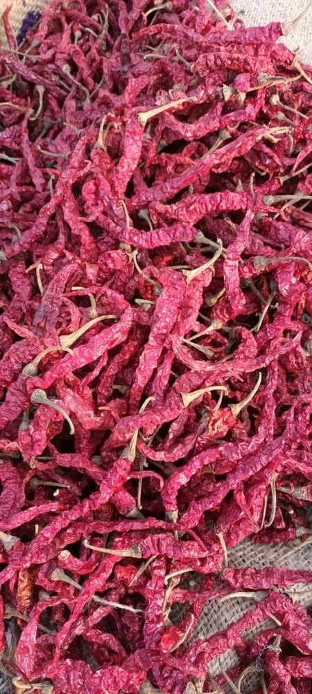 With Stem Capsicum Annuum Byadgi Dry Red Chilli