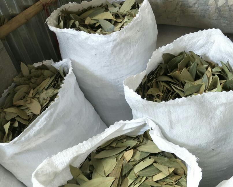 Green Bay leaf, Packaging Type: Bags