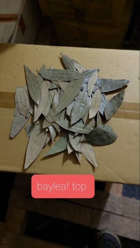 Bay Leaf, Packaging Type: Packet, Packaging Size: 100g