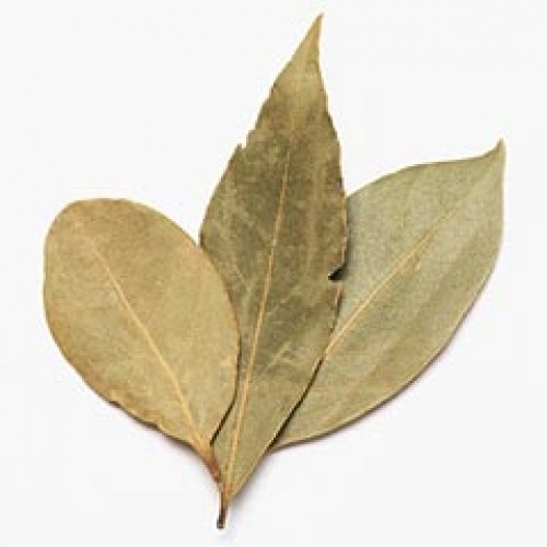 Bay Leaf, Packaging Type: PP Bag, Packaging Size: 40 Kg