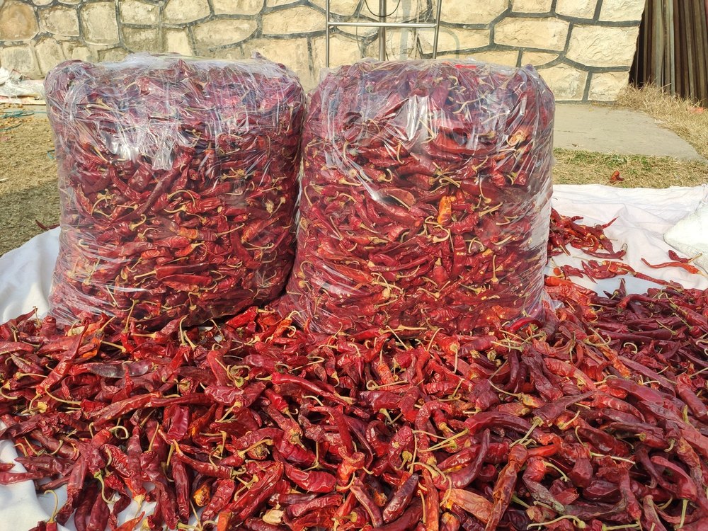 Red Kashmiri Lal Mirch premium quality