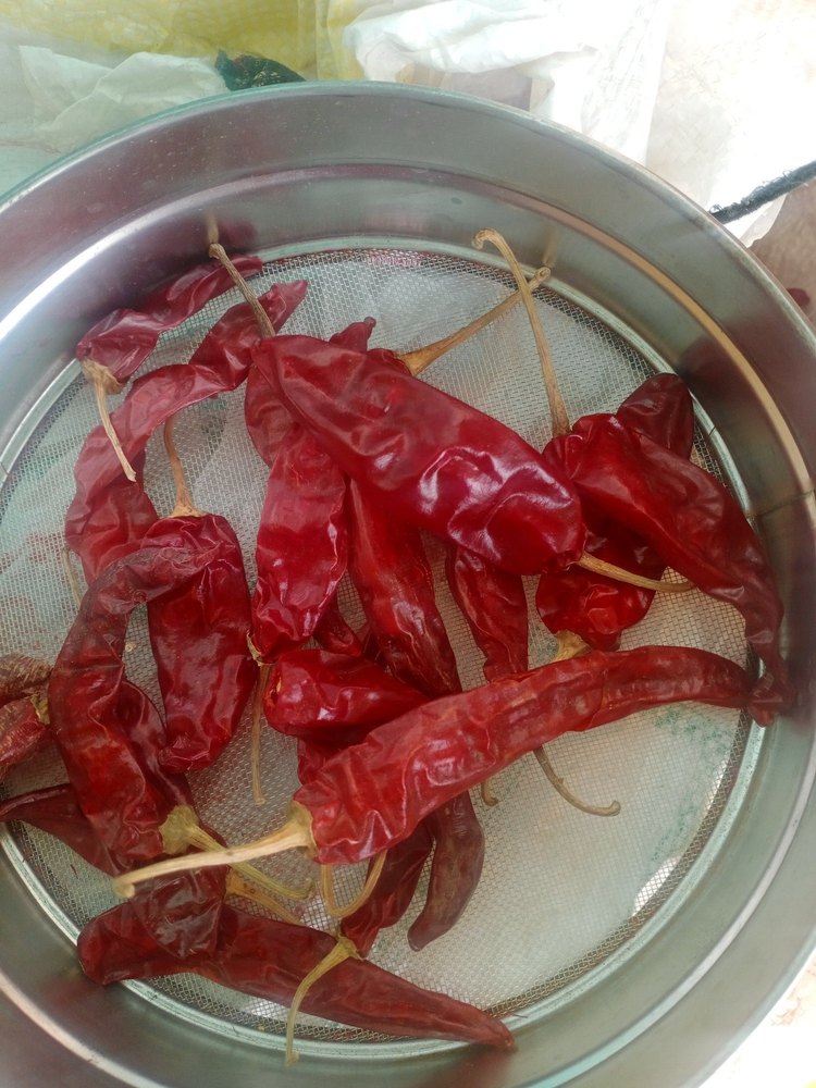 Spicy Kashmiri Red Chilli