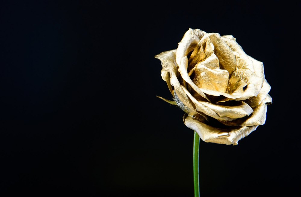 Golden Flower , Shop Deco, Natural Beauty Gold rose.