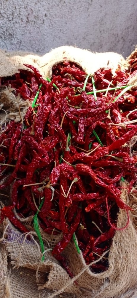 Indian Chilly Whole Mirchi Red, For Powder