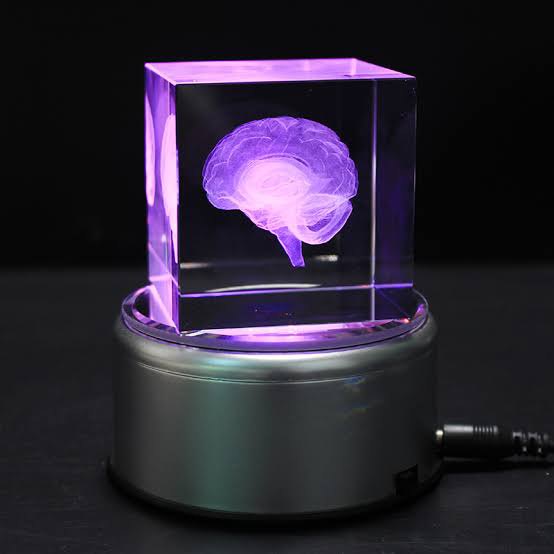 Transparent Square 3D Crystal Engraved Human Brain Cube, Size/Dimension: 5x5x5 Cm