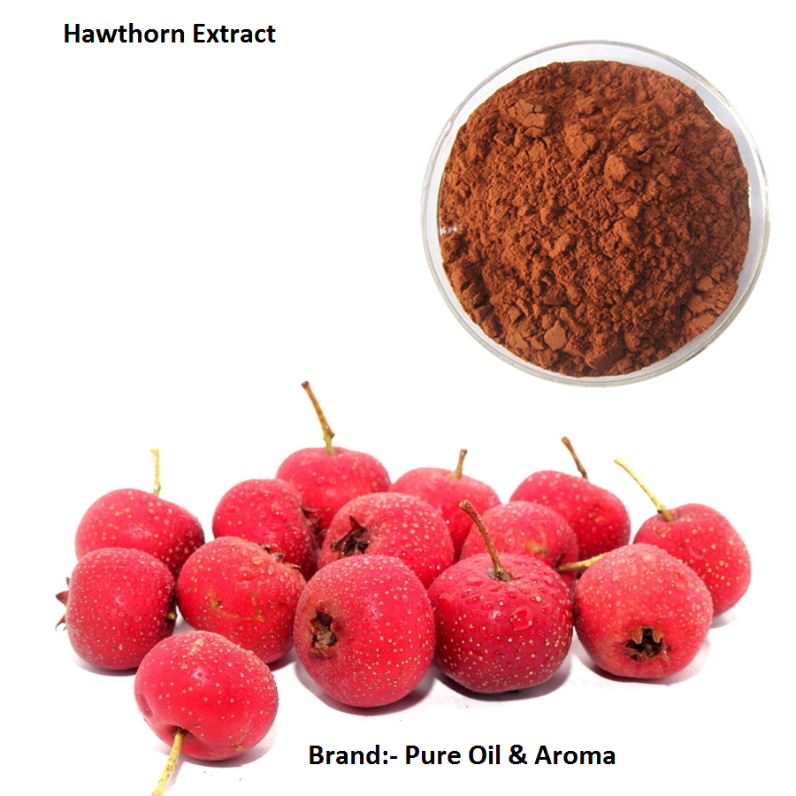 Hawthorn Extract, Form: Powder, Packaging Size: 1 To 180kg.etc