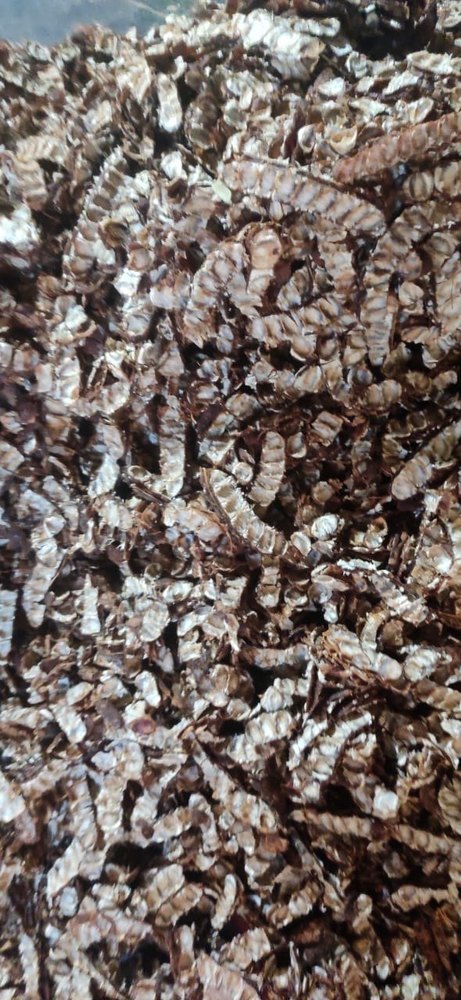 Karipuli Seedless Tamarind, Packaging Size: 50 kg