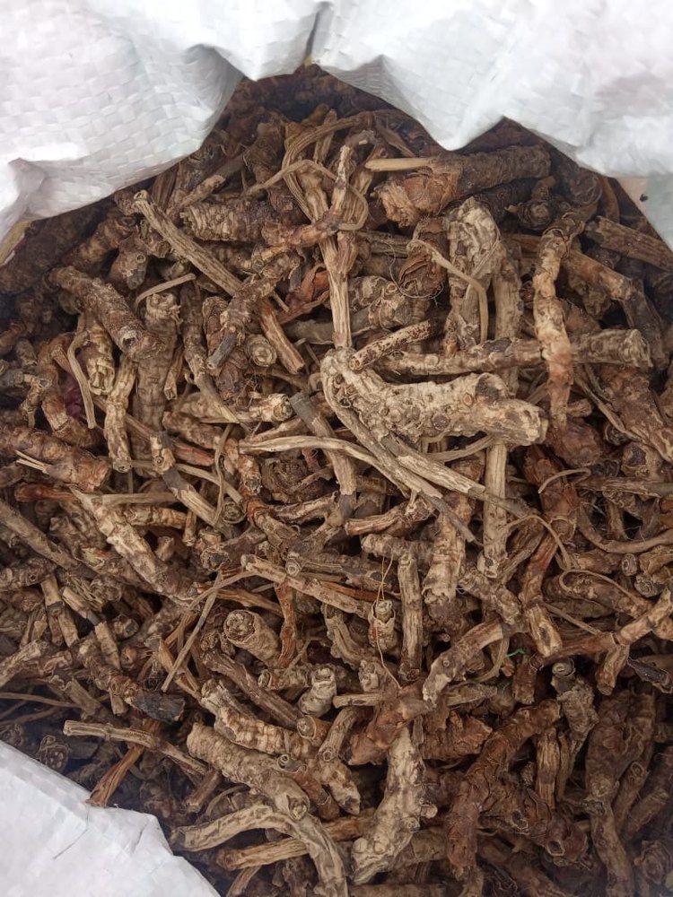 Kutki Herb