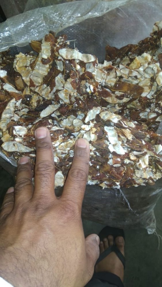 Maharashtra Origin Imli, Packaging Size: 30 kgs bag