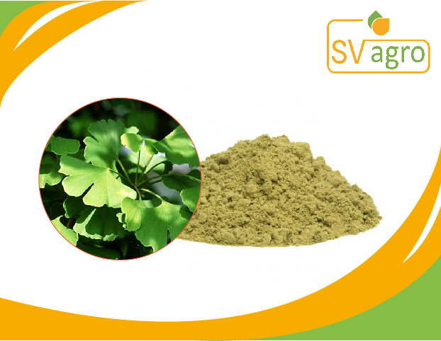 SV Agro Gingko Biloba Extract 24/6/1, Packaging Size: 25 Kg, Packaging Type: Pp Polybags, Hdpe Drums