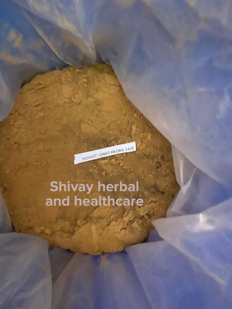 Ginkgo Biloba Extract Powder, Packaging Type: Bag, Packaging Size: 10 Kg