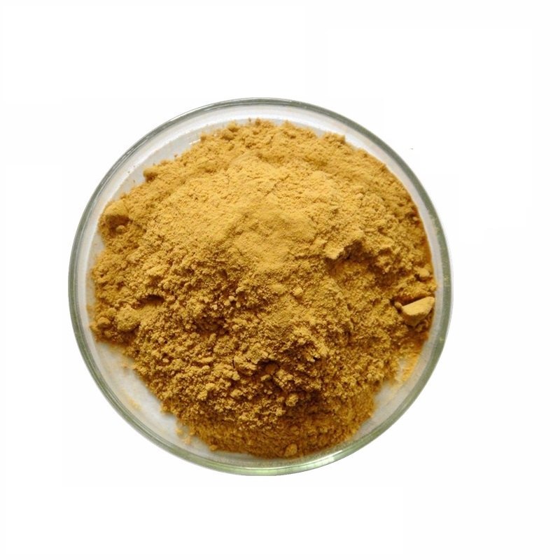 Ginkgo Biloba Extract, Packaging Size: 25 Kg Hdpe Drum