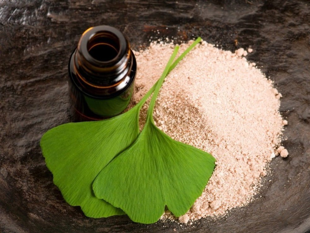 Ginkgo Biloba Extract 24%, Packaging Size: Loose