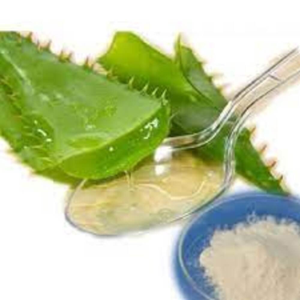 Powder Aloe Vera Extract, Packaging Type: Bottle, Packaging Size: 50 G