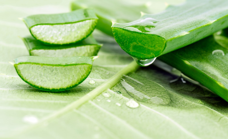 Powder Aloevera Extract, Packaging Type: Carton Box, Packaging Size: 25 kg Box
