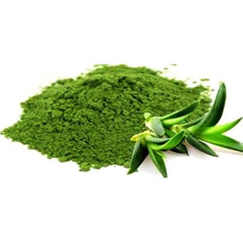 Powder Aloe Barbadensis Alovera Extract, For Cosmetic, Aloe Vera