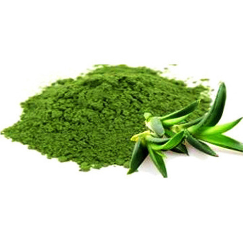 Aloe Vera Extracts Powder, Packaging Size: 1 - 5 Kg