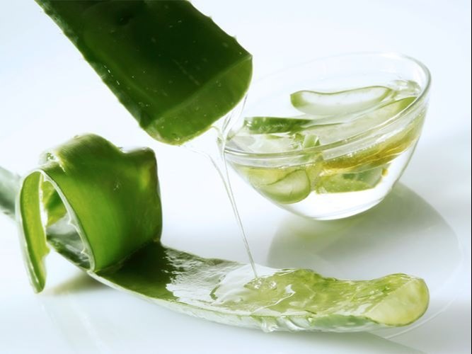 Liquid Aloe Vera Extract, Packaging Type: Bottle, Packaging Size: 100 G