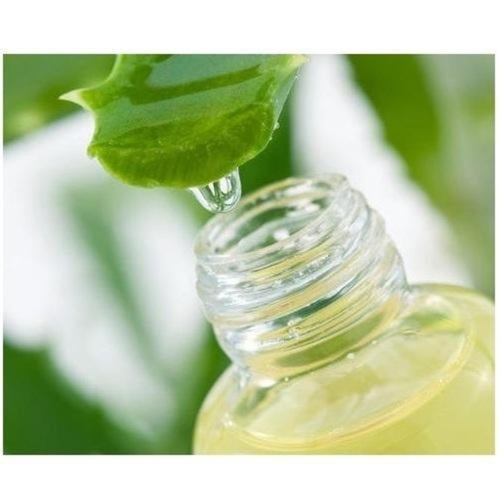 Aloe Vera Extracts, Packaging Size: 25 Kg
