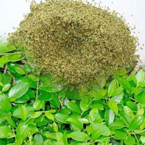 Flamingo Gymnema Extract, Pack Size: 5 kg