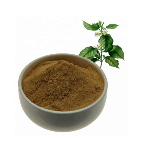 Gymnema Sylvestre Extract, Packaging Size: 10 To 25 Kg, Packaging Type: HDPE Drums