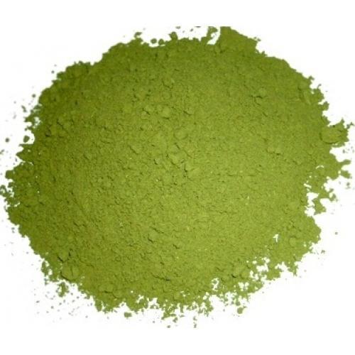 Gymnema Sylvestre Powder (Pack of 25)
