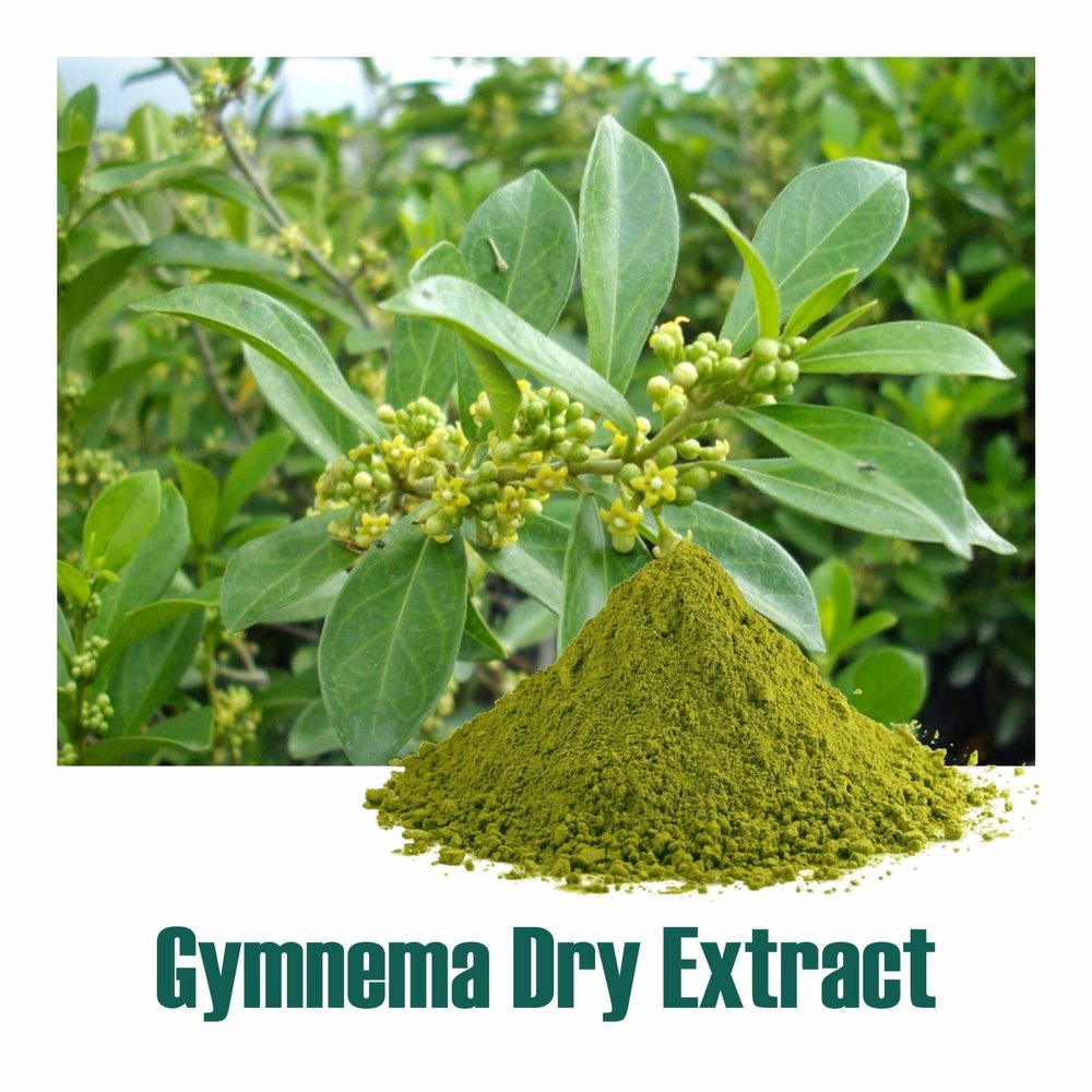 Gymnema Sylvestre Dry Extract Powder, Packaging Type: Drum, Packaging Size: 25 Kg
