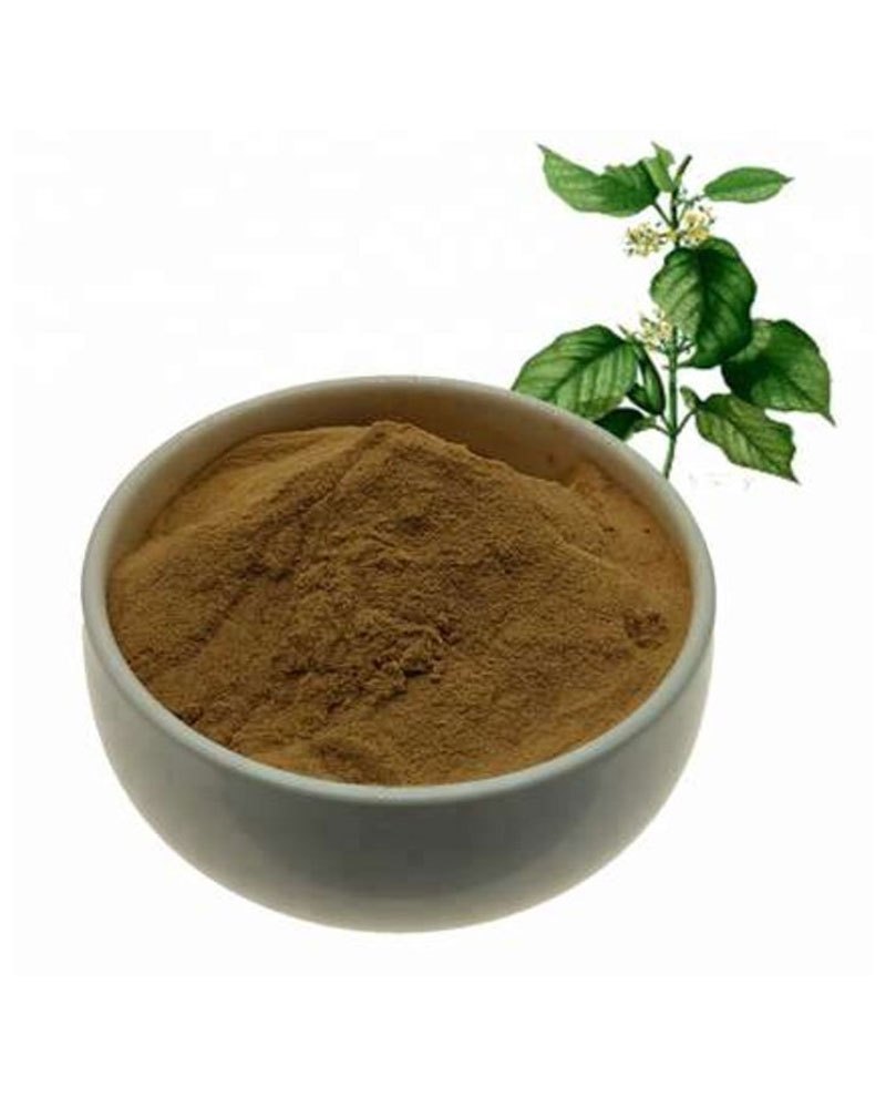 Gymnema Sylvestra (Gudmar )Extract, Leaves, Common Name: Gurmar