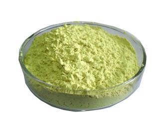 Quercetin Powder, Packaging Type: Hdpe Drum, Pack Size: 10 To 25 Kg